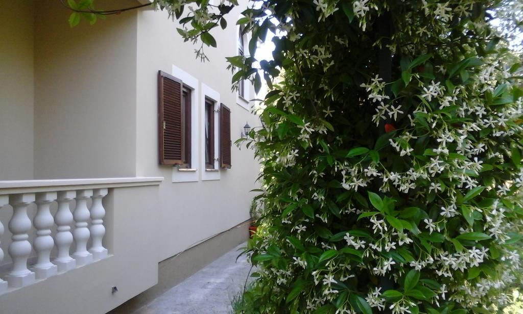 Apartments Rozelyn Ugljan Habitación foto